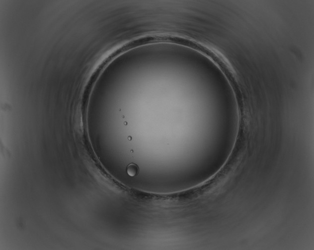 X0000090960887200708021414