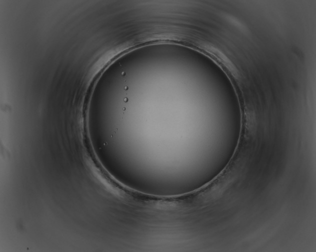 X0000090960890200708021413