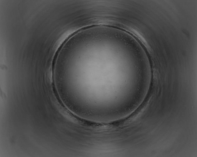 X0000090960891200708021413