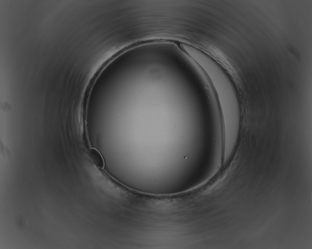 X0000090960892200708021413