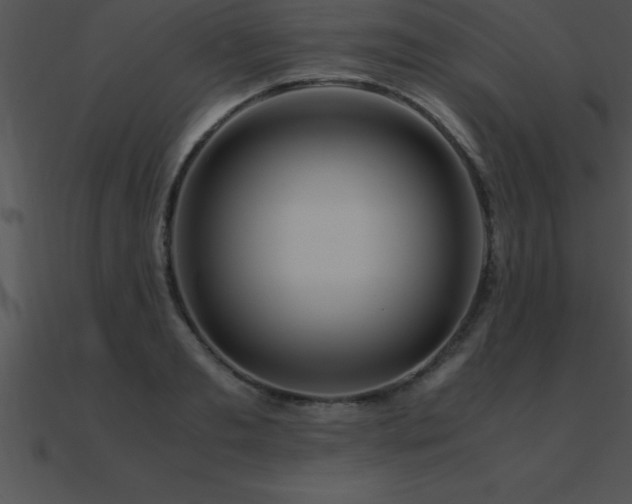 X0000090960893200708021413