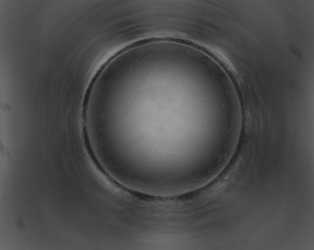 X0000090960895200708021413