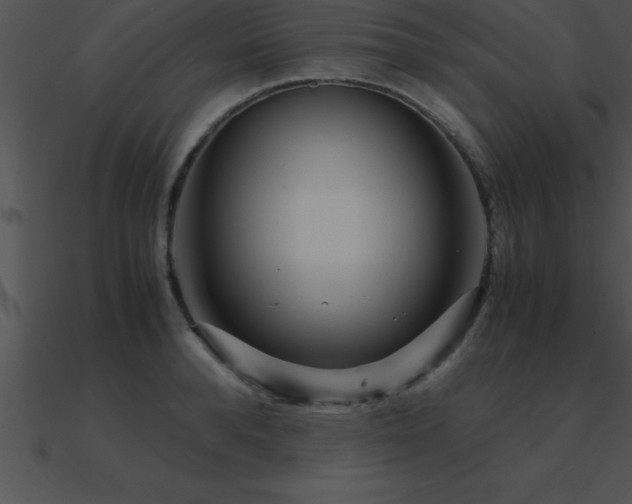 X0000090960896200708021413