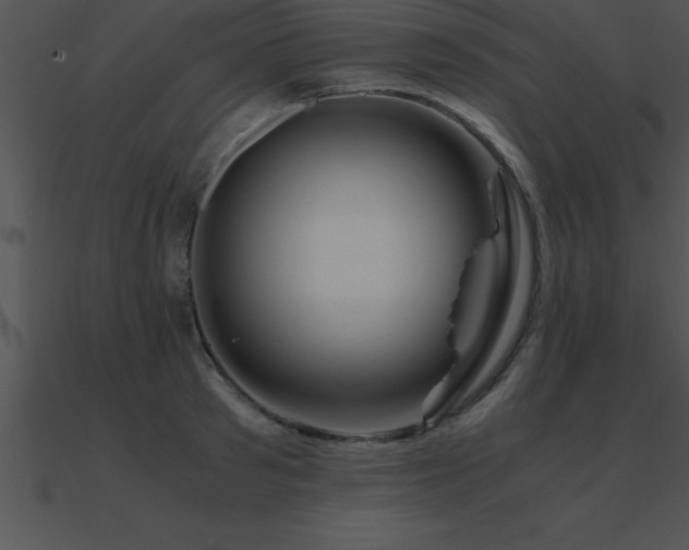 X0000090960897200708021413
