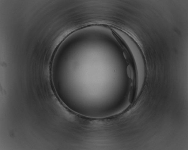 X0000090960898200708021413