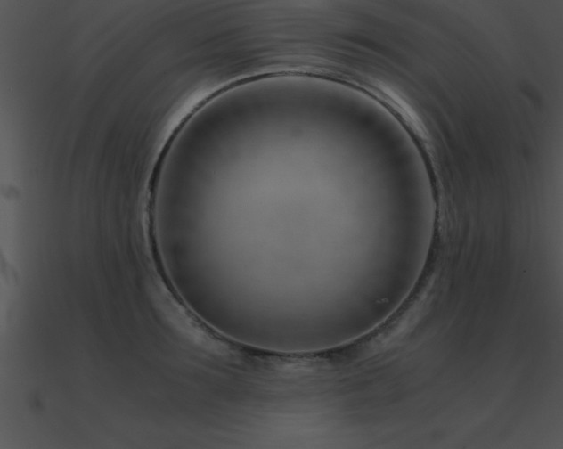 X0000090960899200708021413