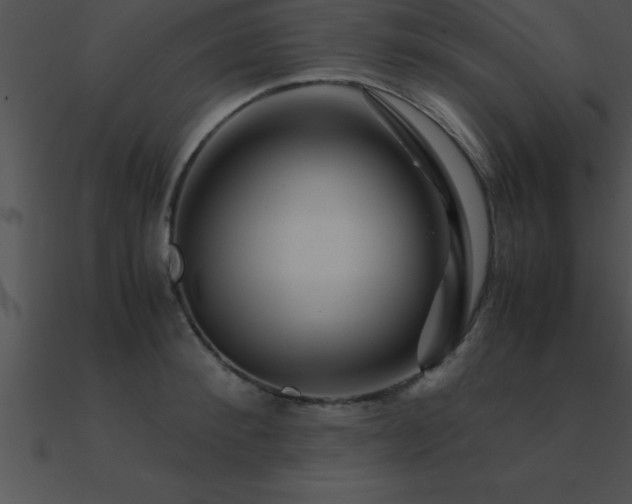 X0000090960900200708021413