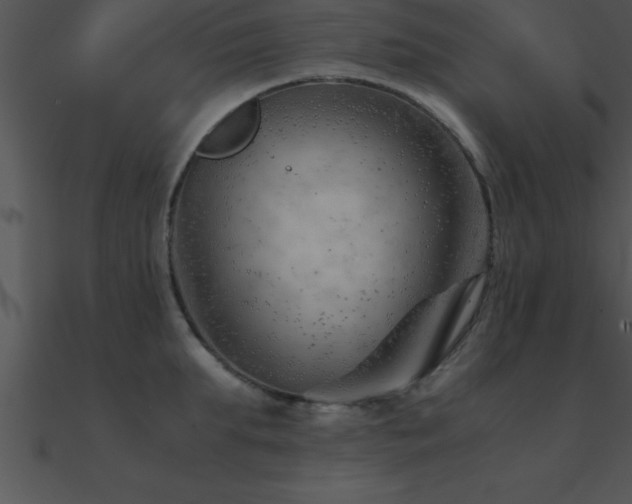 X0000090960903200708021413