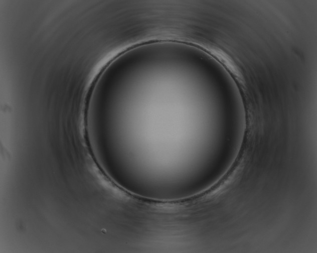 X0000090960904200708021413