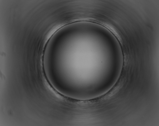 X0000090960906200708021413