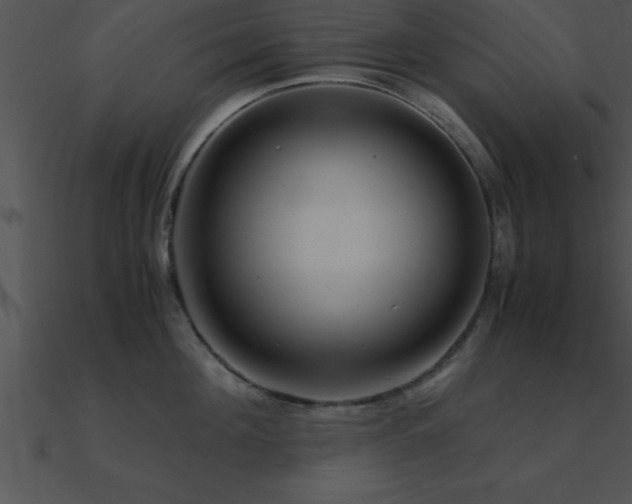 X0000090960908200708021413