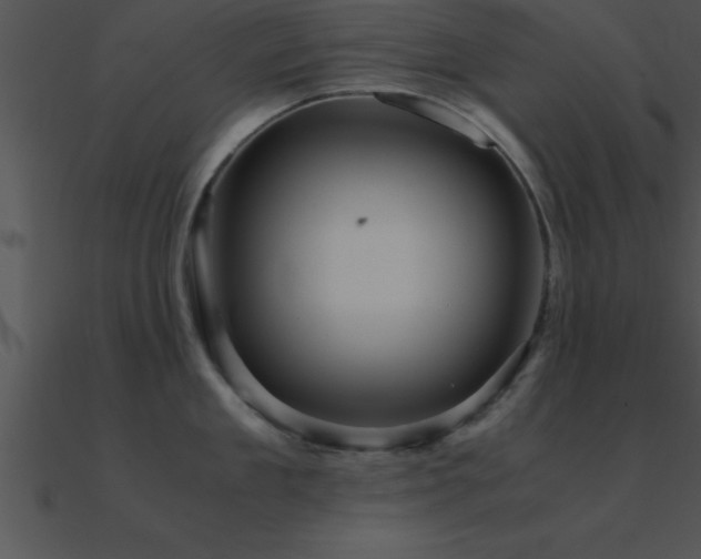 X0000090960909200708021413
