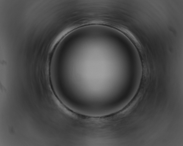 X0000090960910200708021413