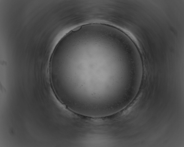 X0000090960911200708021413