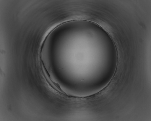 X0000090960912200708021413