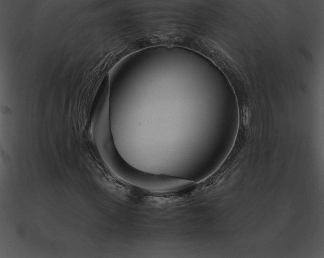 X0000090960915200708021413