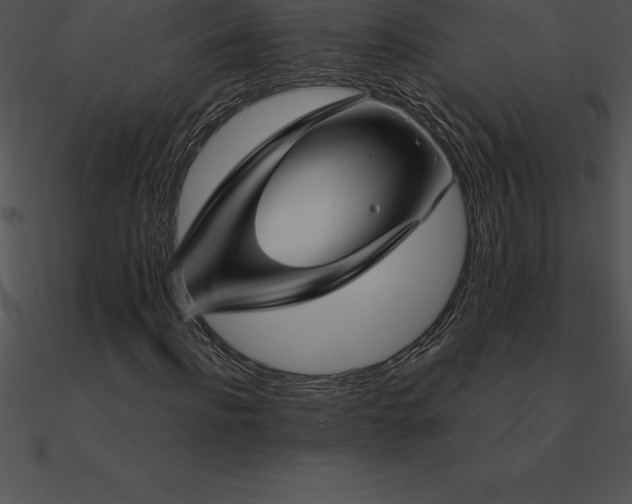 X0000090960916200708021413