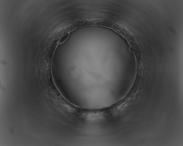 X0000090960917200708021413