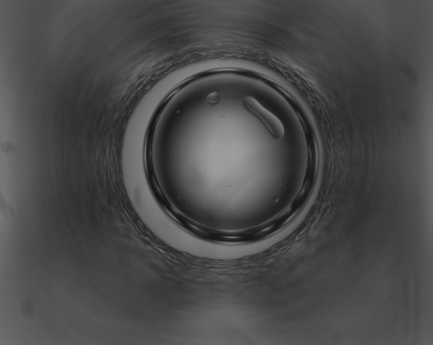 X0000090960918200708021413