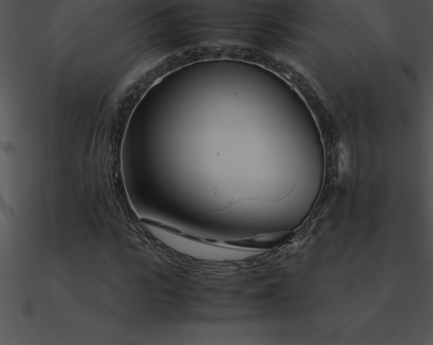 X0000090960919200708021413