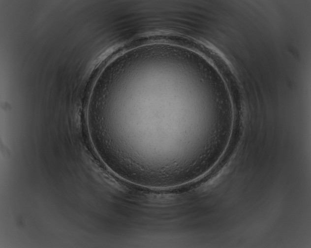 X0000090960921200708021413