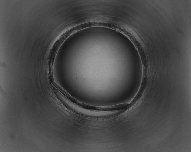 X0000090960923200708021413