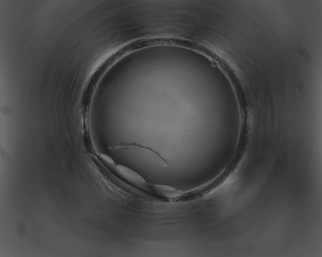 X0000090960925200708021413