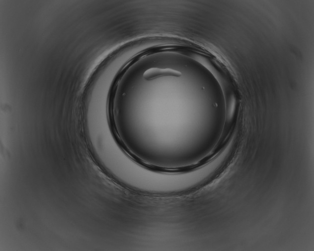 X0000090960926200708021413