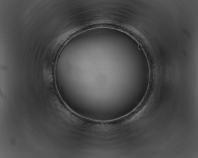 X0000090960929200708021413