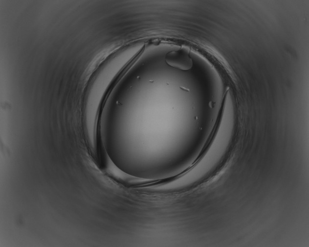 X0000090960930200708021413
