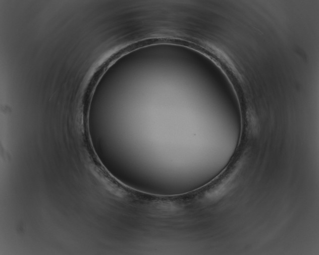 X0000090960931200708021413