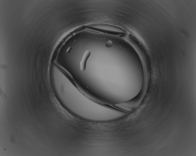 X0000090960932200708021413