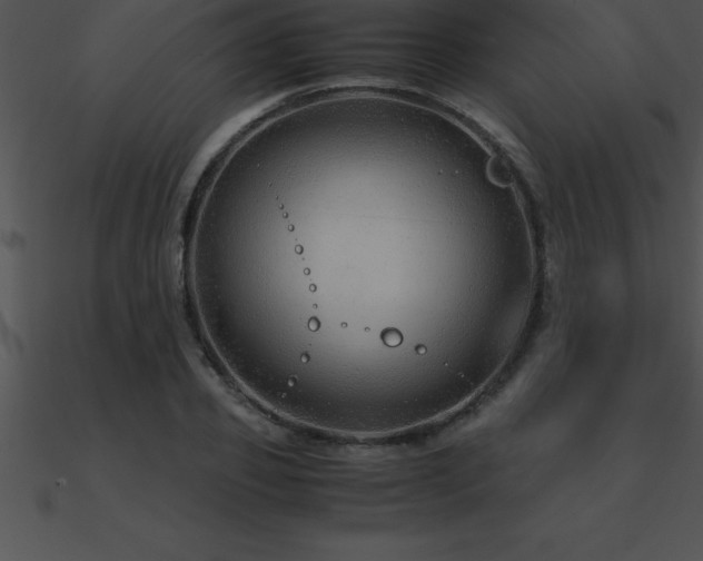 X0000090960933200708021413