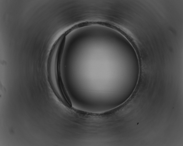 X0000090960935200708021413
