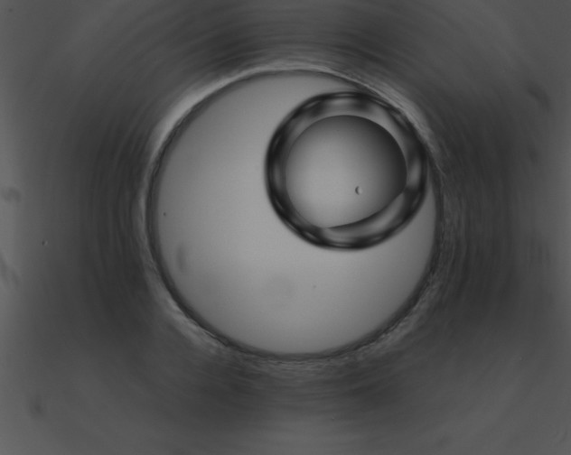 X0000090960936200708021413