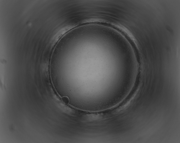 X0000090960937200708021413