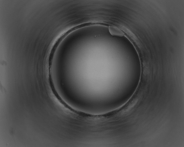 X0000090960939200708021413