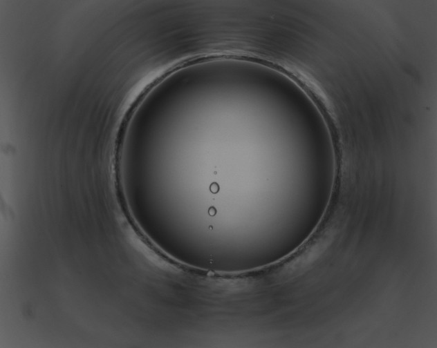 X0000090960941200708021413