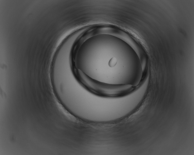 X0000090960942200708021413