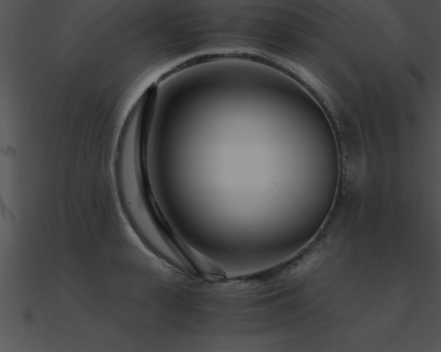 X0000090960943200708021413