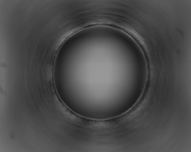 X0000090960945200708021413