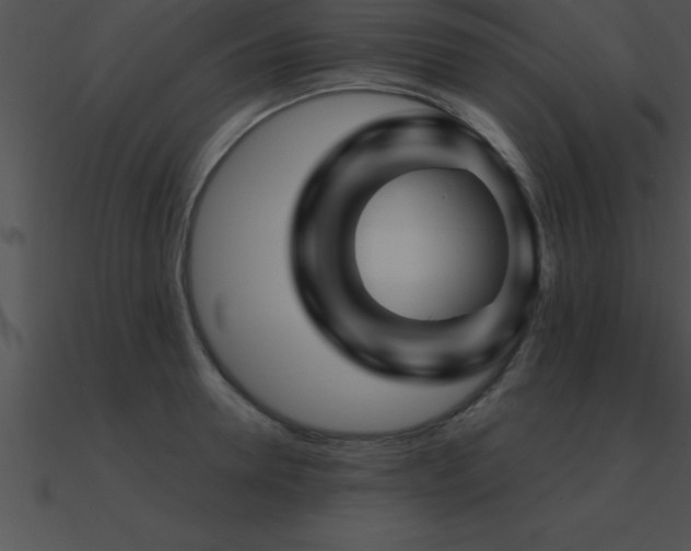X0000090960946200708021413