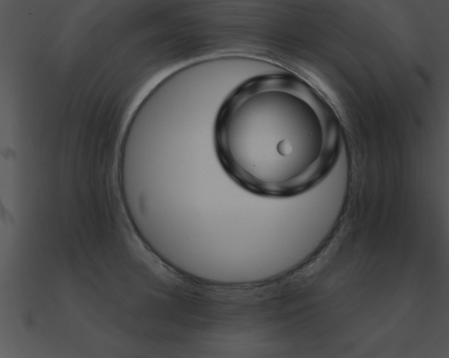 X0000090960948200708021413