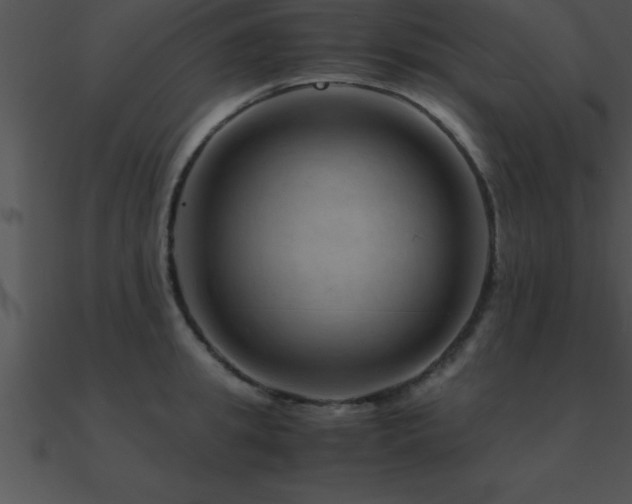 X0000090960949200708021413