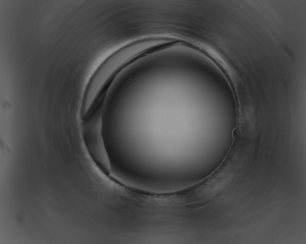 X0000090960951200708021413