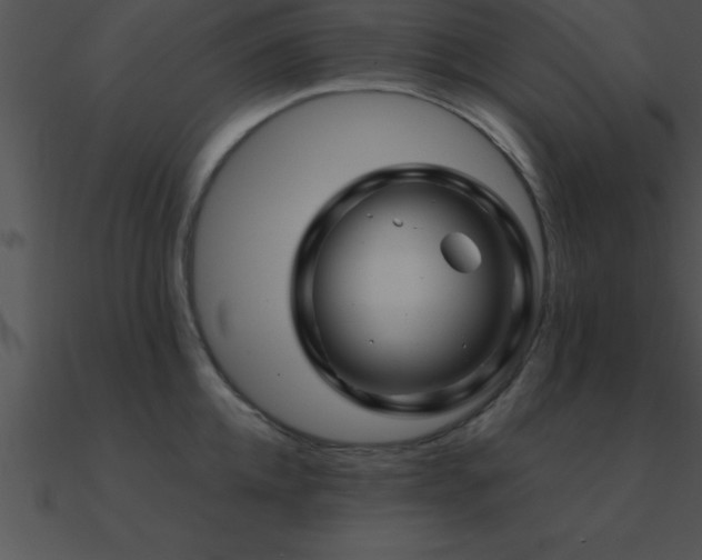 X0000090960952200708021413
