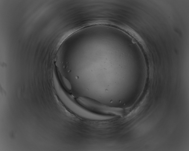 X0000090960953200708021413