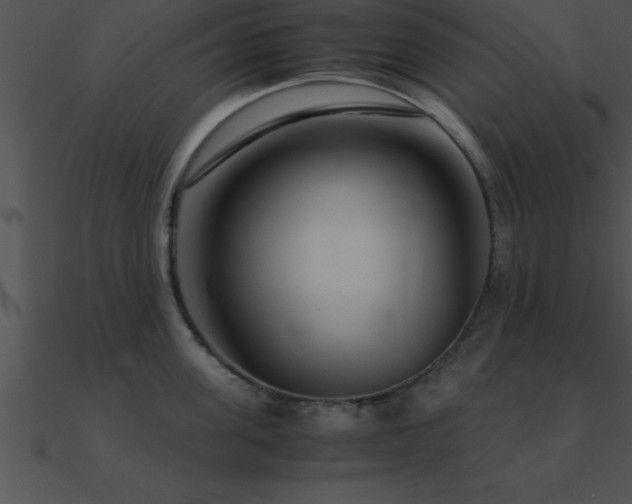 X0000090960955200708021413