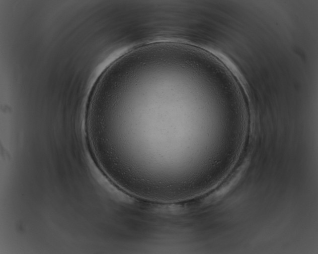 X0000090960957200708021413