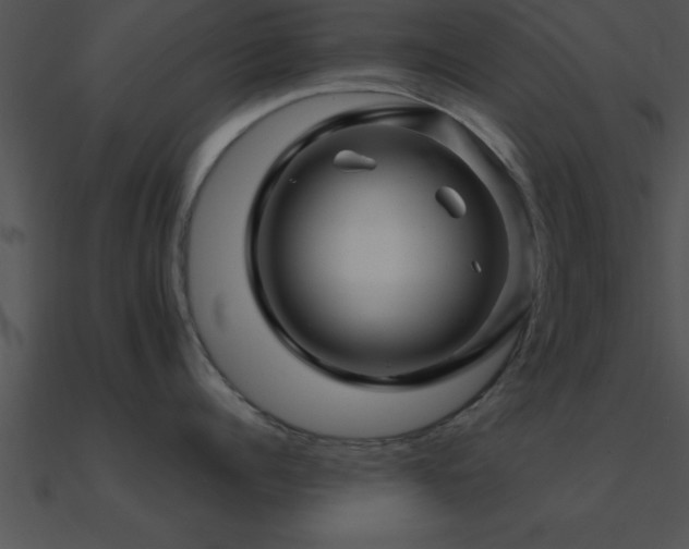 X0000090960960200708021413